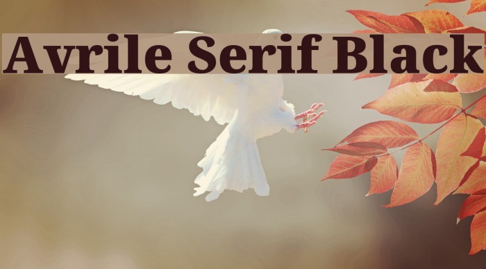 Avrile Serif Black Font examples