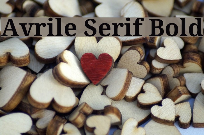 Avrile Serif Bold Font examples
