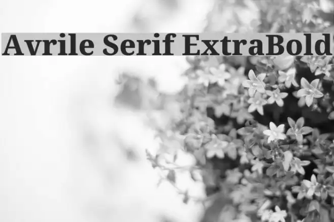 Avrile Serif ExtraBold Example 3