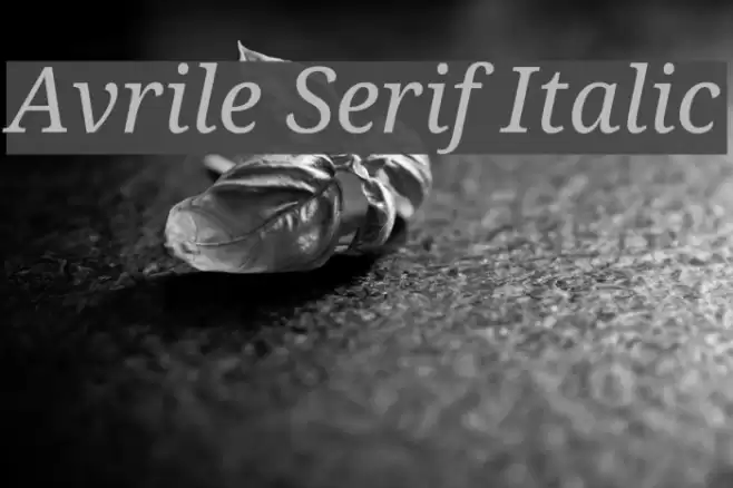Avrile Serif Italic Font examples