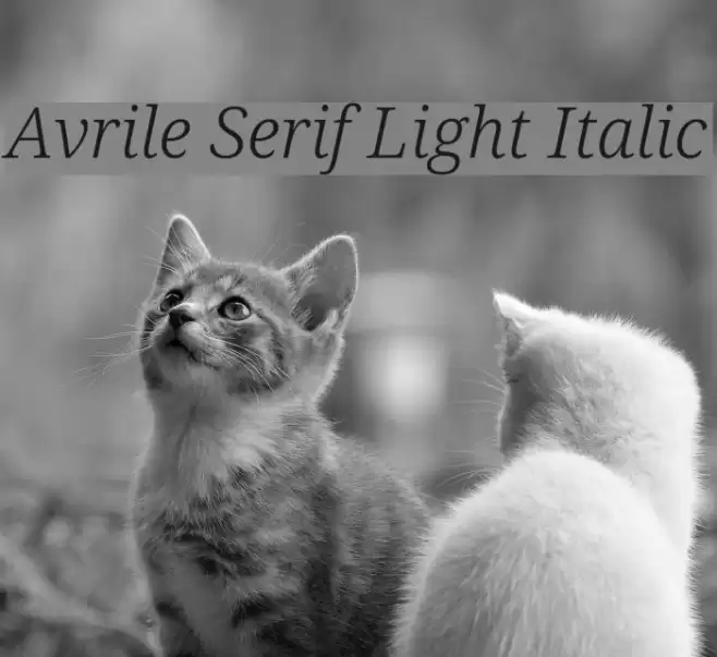 Avrile Serif Light Italic Font examples