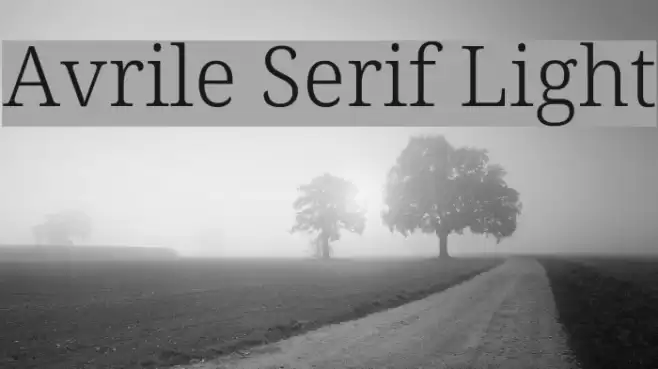 Avrile Serif Light Font examples