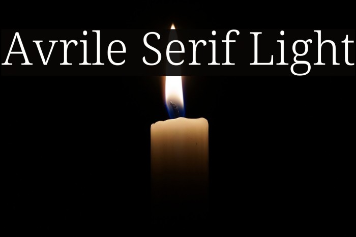 Avrile Serif Light Example 2