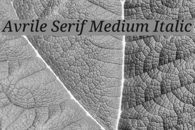 Avrile Serif Medium Italic Font examples