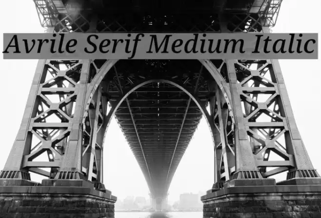 Avrile Serif Medium Italic Font examples
