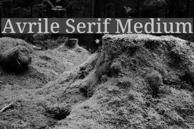 Avrile Serif Medium Font examples