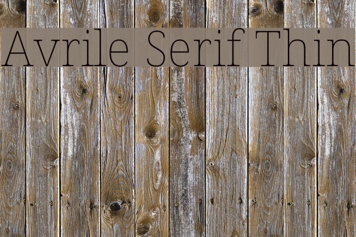 Avrile Serif Thin Example 2