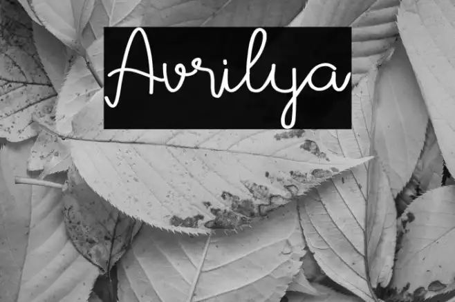 Avrilya Example 1
