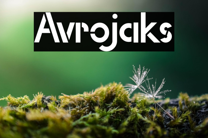 Avrojaks Example 2