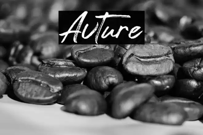 Avture Font examples