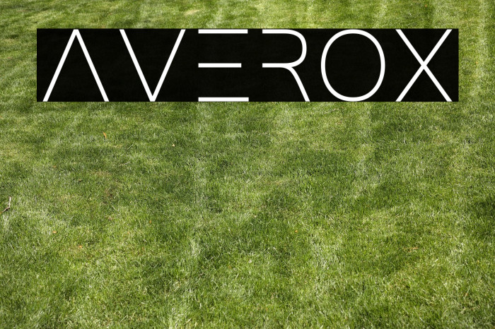 averox Example 1