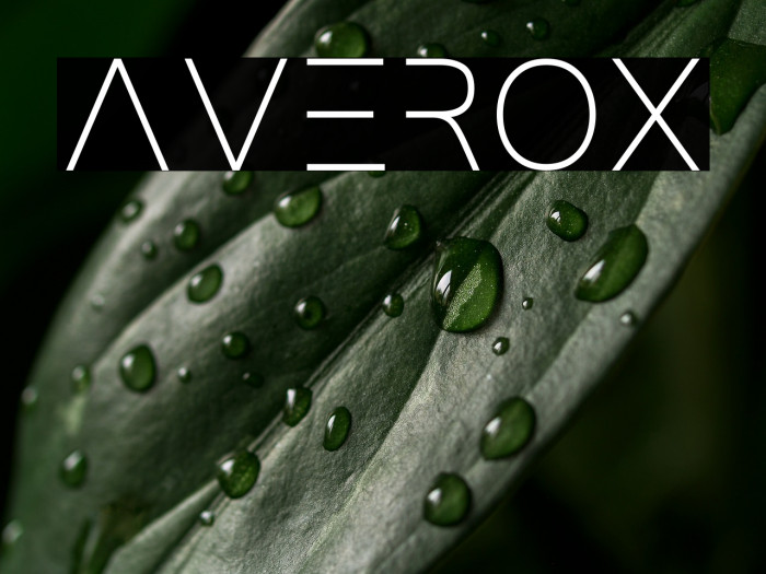 averox Example 2