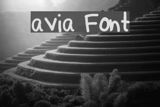 avia Font examples