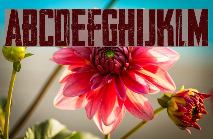 AWAKENNING Personal Use Font examples
