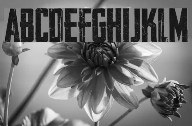 AWAKENNING Personal Use  Font examples