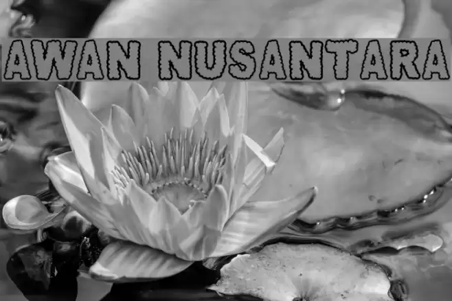 AWAN NUSANTARA Font examples