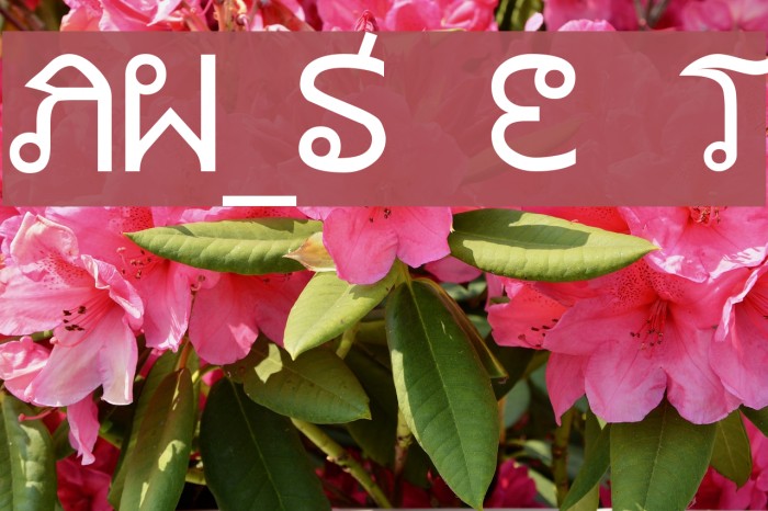 AW_Siam English not Thai Font examples