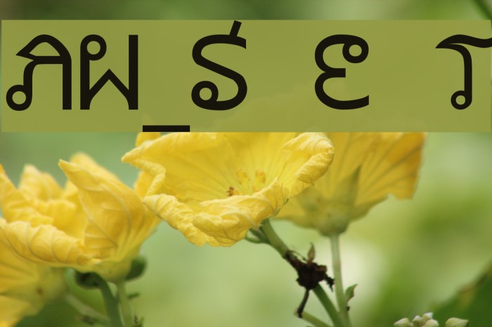 AW_Siam English not Thai Font examples