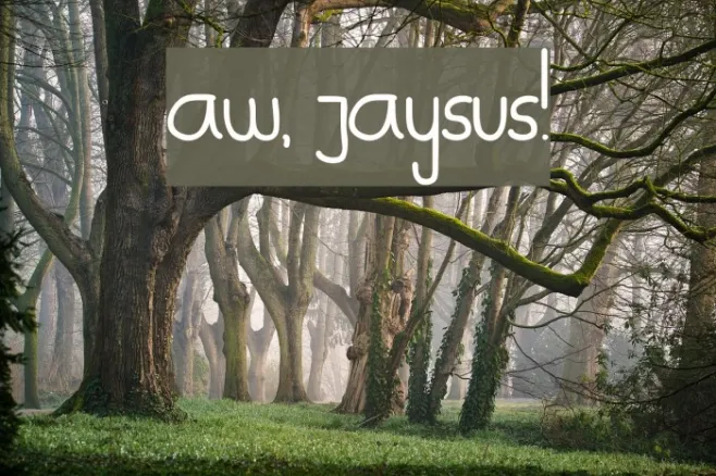 Aw, Jaysus! Example 3