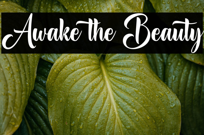 Awake the Beauty Example 1