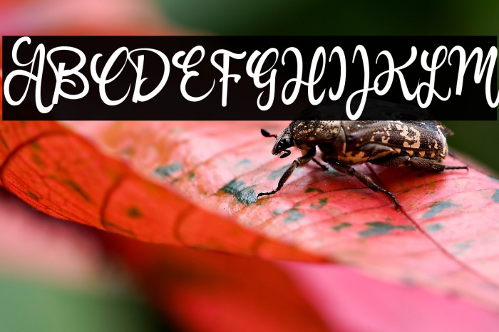 Awake_Hearts` Example 1