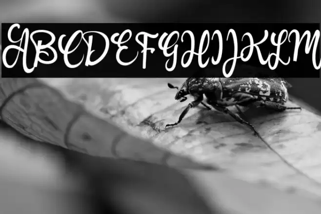 Awake_Hearts` Font examples