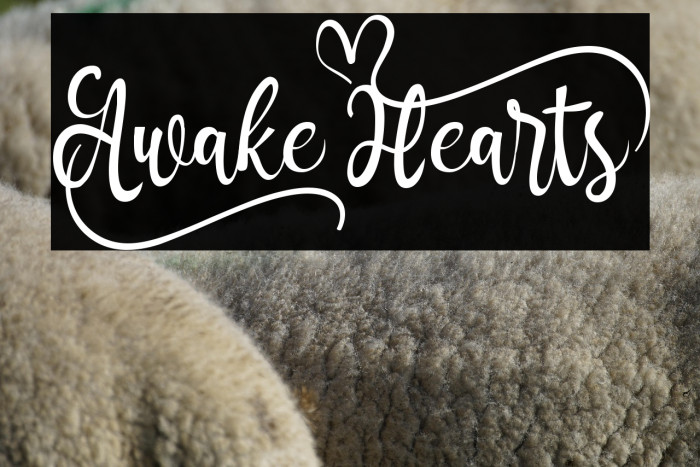 Awake_Hearts` Example 3