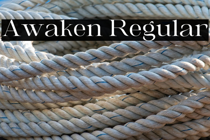 Awaken Regular Example 1