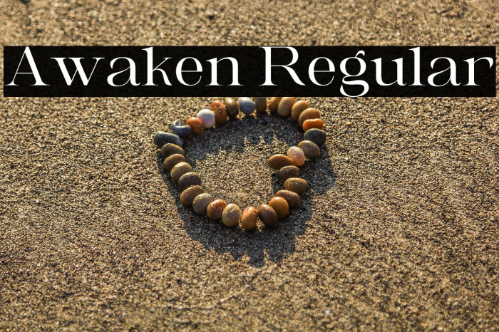 Awaken Regular Example 2