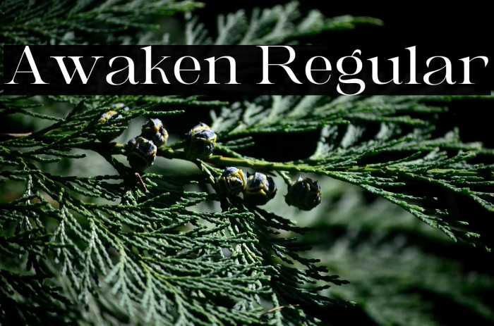 Awaken Regular Example 3