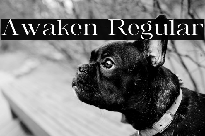 Awaken-Regular Example 2