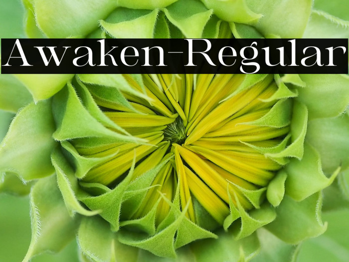 Awaken-Regular Example 3