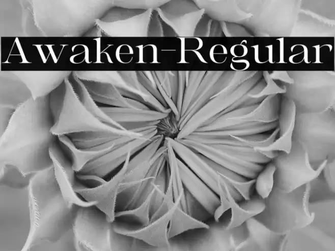 Awaken-Regular Font examples