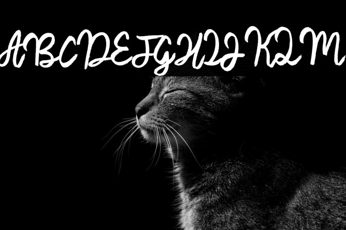 Awaker Shaker Example 2