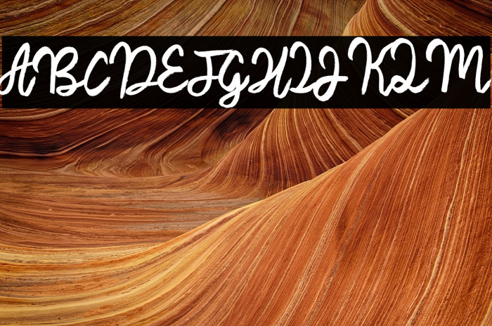 Awaker Shaker Example 3