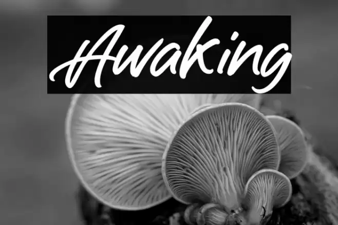 Awaking Font examples