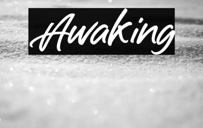Awaking Font examples