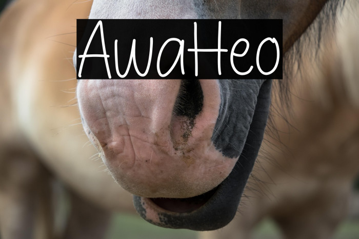 Awal Hello Example 3