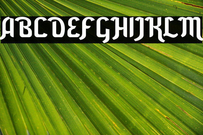 Awal Ramadhan Example 3