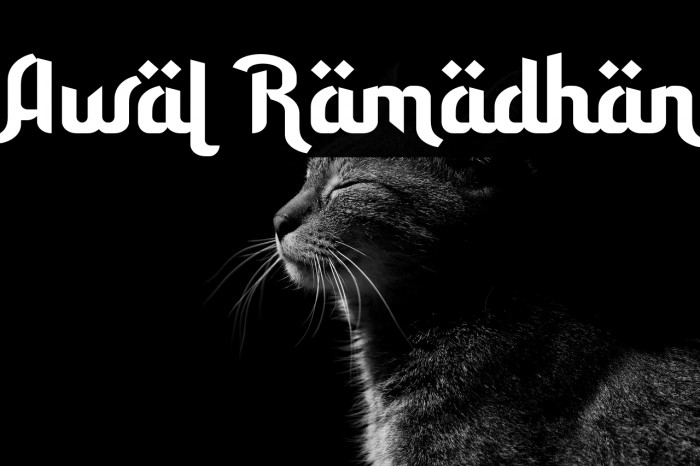 Awal Ramadhan Example 3
