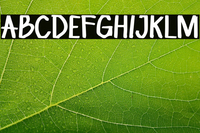 Awalan Boxing Example 1