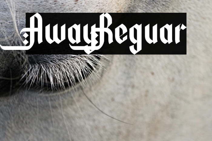 Awaly Regular Example 2