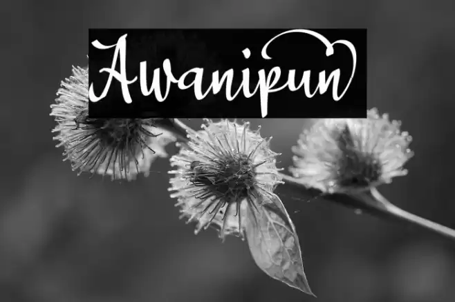 Awanipun_ Font examples