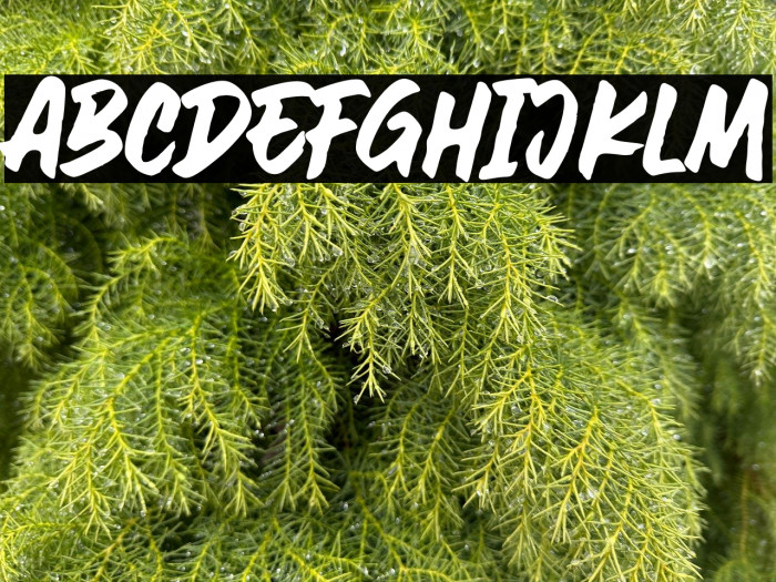 AweSomE JouRneY Example 2