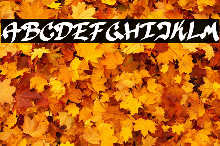 Awergy-Regular Example 1