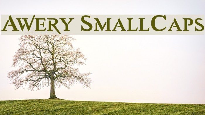 Awery SmallCaps Example 2