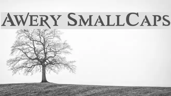 Awery SmallCaps Font examples