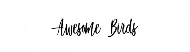 Awesome Birds  Fuentes Gratis Descargar