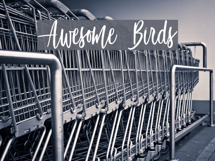 Awesome Birds Font examples