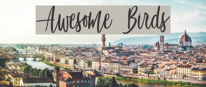 Awesome Birds Font examples